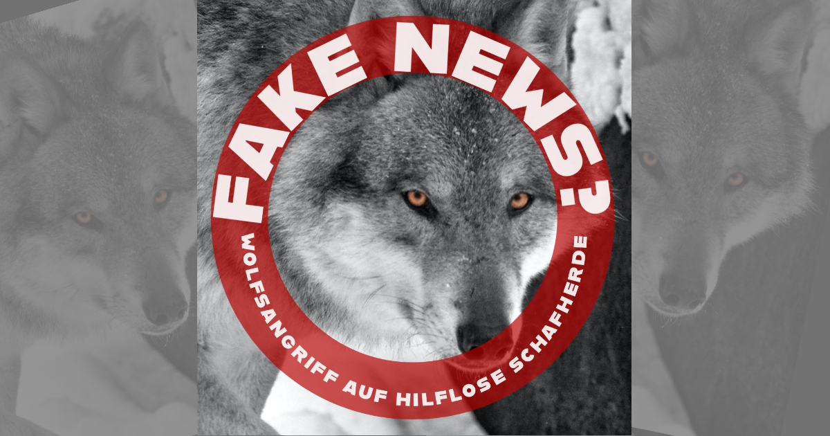 Der Österreicher und der böse Wolf